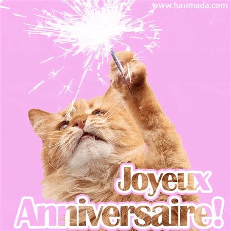 Joyeux anniversaire chat GIF